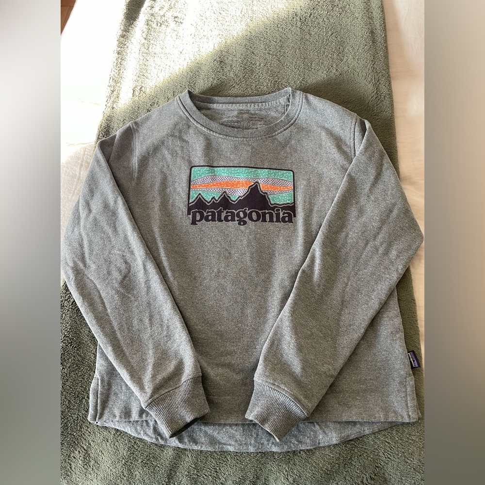 Patagonia Heather Gray Crewneck